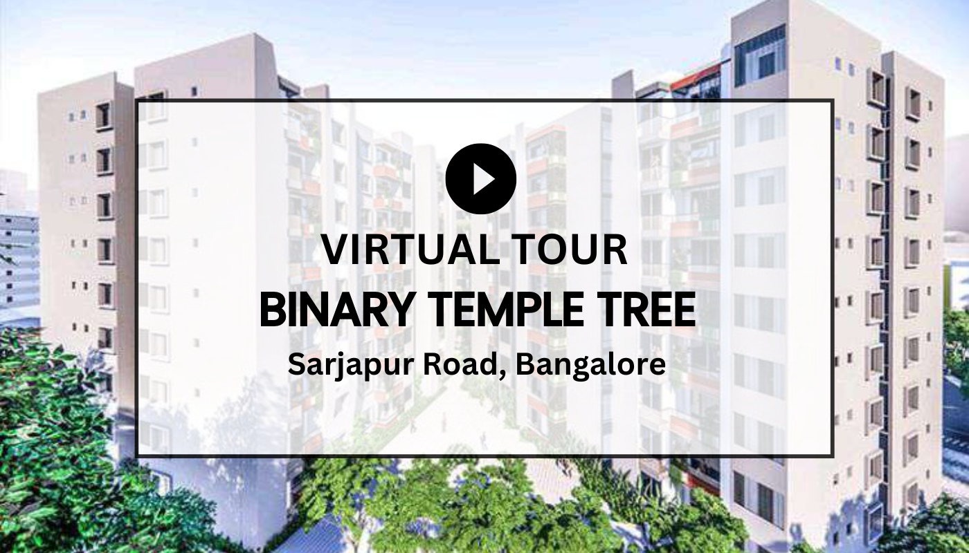Binary Temple Tree Virtual Site Visit