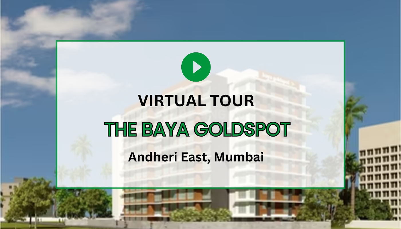 The Baya Goldspot Virtual Site Visit