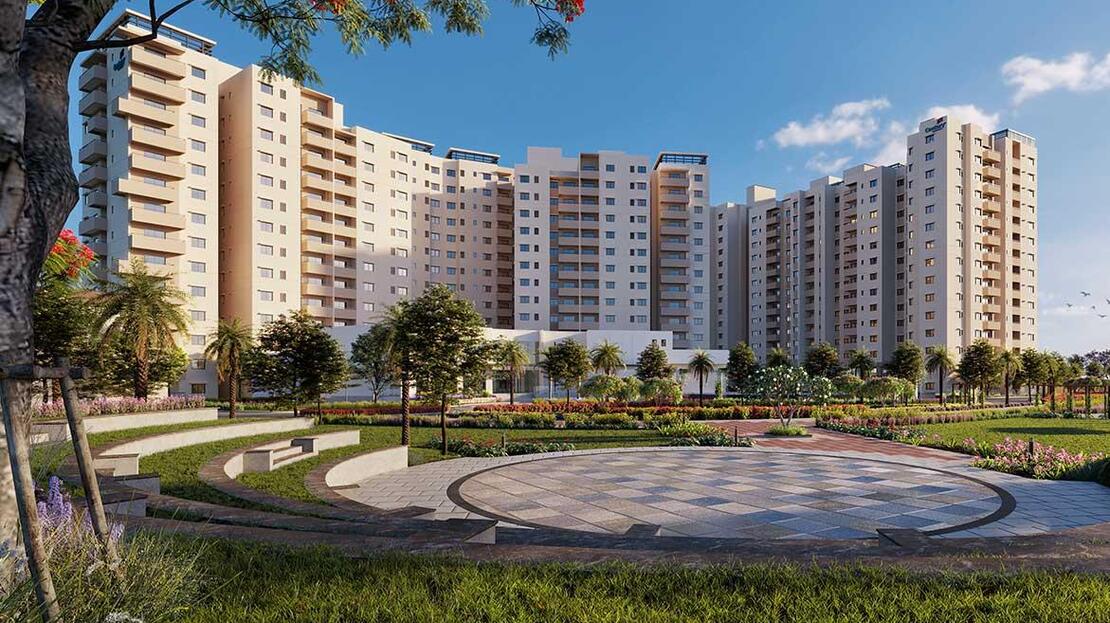 Century Liva Image 1