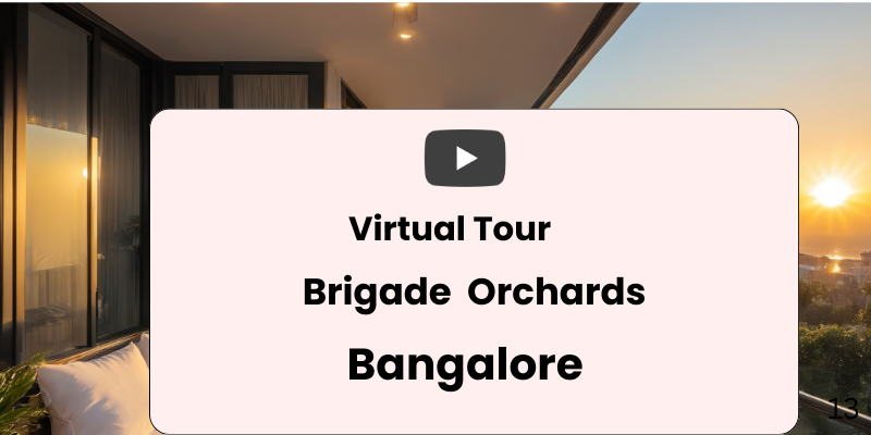 Brigade Orchards Virtual Site Visit