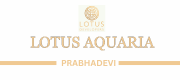 Lotus Aquaria