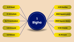 What Is Bigha in Land Measurement: All You Need to Know about It